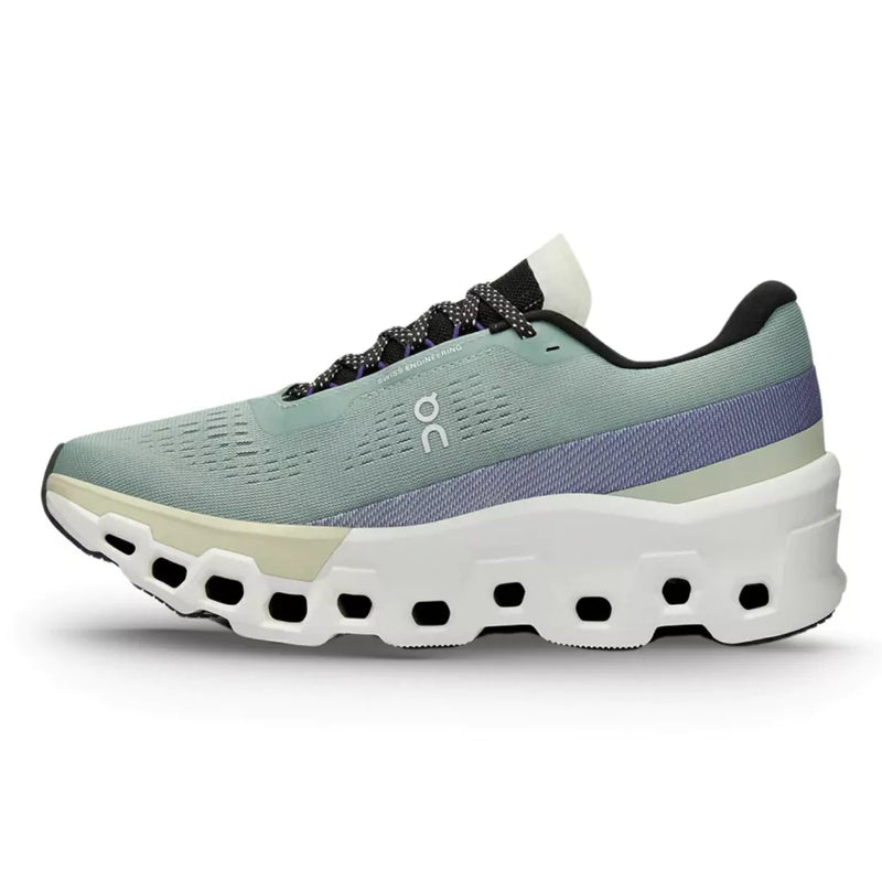 TENIS ON RUNNING CLOUDMONSTER 2